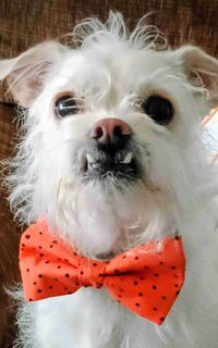 Landon Ball profile picture