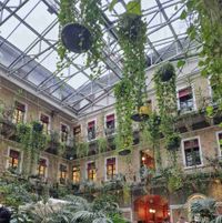 janaa profile picture