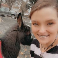 dessie profile picture