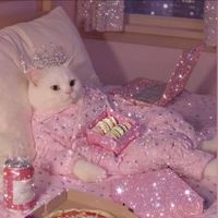 Medusalee profile picture