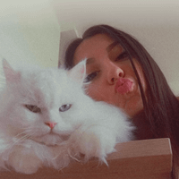 Dijana Rangelov profile picture