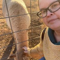 Sarah Phillips profile picture