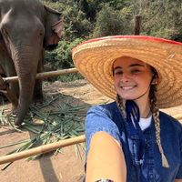 Charlotte Curnin profile picture