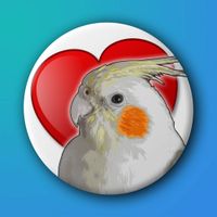PopParrot profile picture