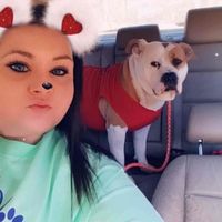 Renee Boyd profile picture