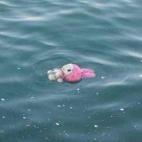 Trang Le profile picture