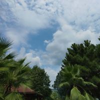 Luka Djordjevic profile picture