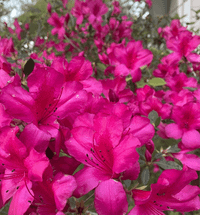 Dee And profile picture