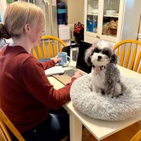 Coco's Mom profile picture