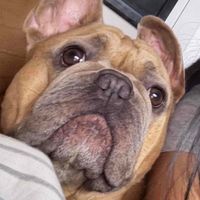 Virginia profile picture