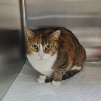 Ninong Roy profile picture