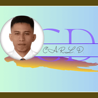 Carlsten D. profile picture