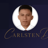 Carlsten D. profile picture