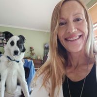 Tanis profile picture