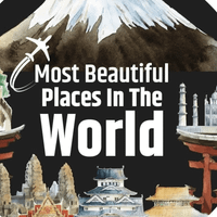 Beauty Of The World profile picture