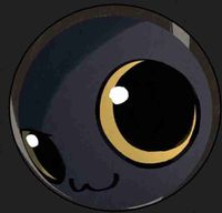 Dani Paran profile picture