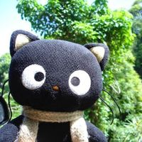 Coco profile picture