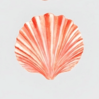 Natalija Mrdjenovic profile picture