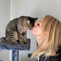 Maja BV profile picture