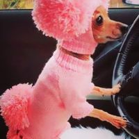 ___Just__Lola___ profile picture