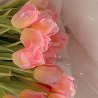 Angela profile picture