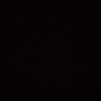 The Curated Shelf profile picture