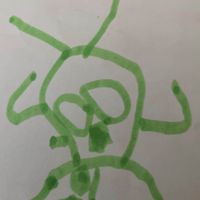 Senisa Stacy profile picture