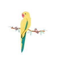 Kiki Sweet profile picture