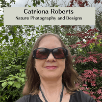 Catriona Roberts profile picture