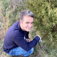 Alexander Gielow profile picture