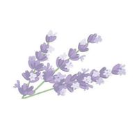 viv <3 profile picture