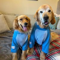 Mia P profile picture