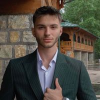Tarik Brčaninović profile picture