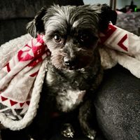 Jen K profile picture