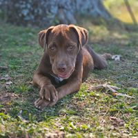 Krystal Pampuro profile picture