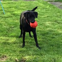 Elaine M profile picture