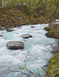 Lydia profile picture