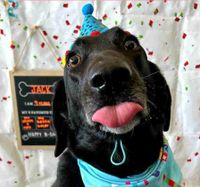 Jillian S profile picture