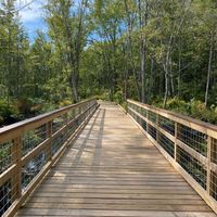 Samantha K profile picture