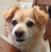 William Young profile picture