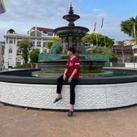 Vo Dang Tue profile picture