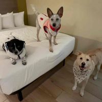 Kylee Henritze profile picture