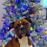 Kylie profile picture