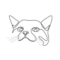 Tassel Tails Co profile picture