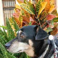 IngeLise profile picture