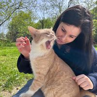 Margherita Bolzonella profile picture