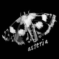 alt_asteria profile picture