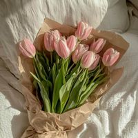 Beauty That Loves You Back profile picture