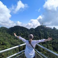 Zubu Studio profile picture