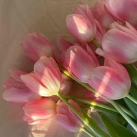 Andjelina Radenkovic profile picture